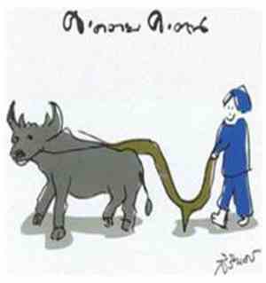 คาราบาว - ค.ควาย ค.ฅน