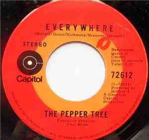 Pepper Tree - Everywhere