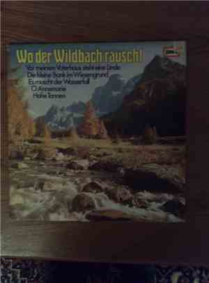 Various - Wo Der Wildbach Rauscht