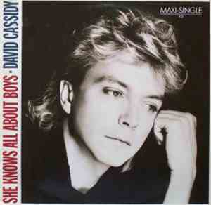 David Cassidy - She Knows All About Boys