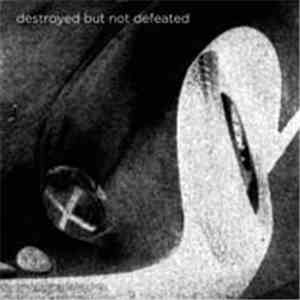 Destroyed But Not Defeated - Destroyed But Not Defeated