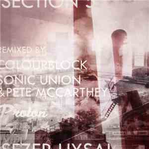 Sezer Uysal - Section 5