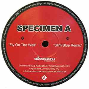 Specimen A - Fly On The Wall