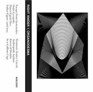 Right Knider - Organodesma