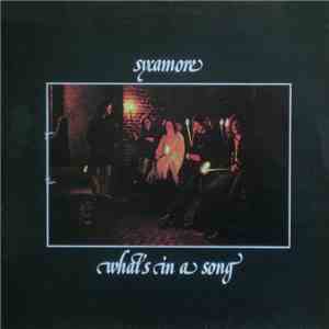Sycamore  - What's In A Song