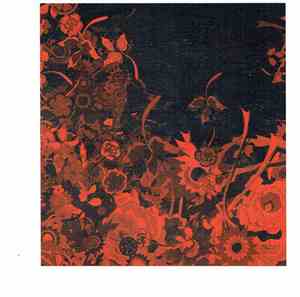 Susumu Yokota - Skintone Collection
