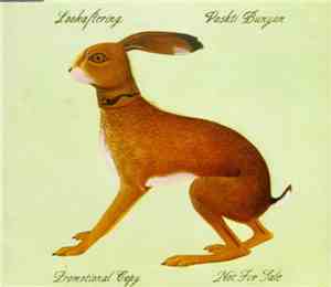 Vashti Bunyan - Lookaftering