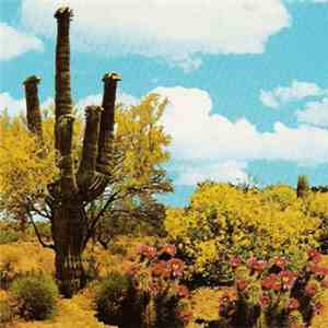 Cactus Flower - China Blue