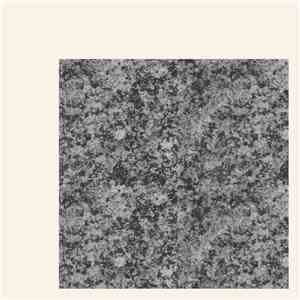 Girls Names - The New Life