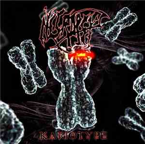 Necropsy  - Kariotype