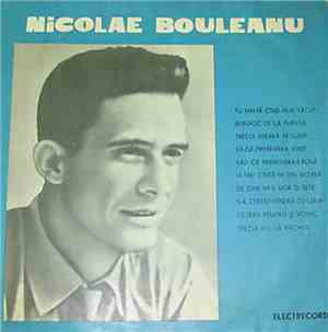 Nicolae Bouleanu - Nicolae Bouleanu
