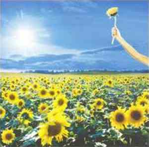 Stone Temple Pilots - Thank You