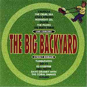 Various - The Big Backyard
