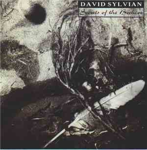 David Sylvian - Secrets Of The Beehive