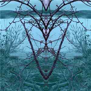 The Deer Tracks - Gossip