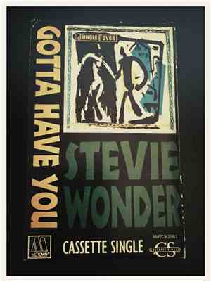 Stevie Wonder - Gotta Have You