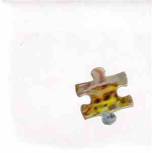 Cor Fuhler - Puzzle