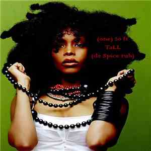 Erykah Badu - (one) 20ft Tall (De Spice Rub)