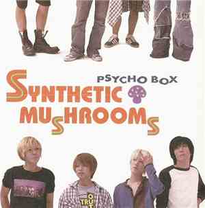 Synthetic Mushrooms - Psycho Box
