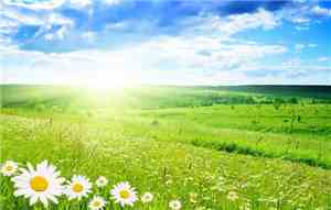 Amely Suncroll - Picolo!