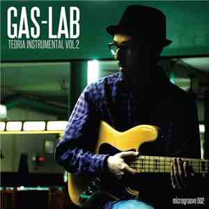 Gas-Lab - Teoría Instrumental Vol​.​2