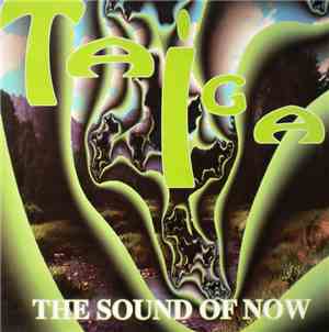 Taiga  - The Sound Of Now