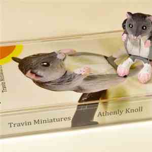 Athenly Knoll - Travin Miniatures