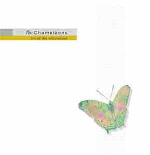 The Chameleons - Live At The Witchwood