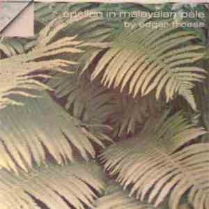Edgar Froese - Epsilon In Malaysian Pale