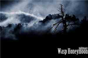 Wasp Honeymoon - Nightmare