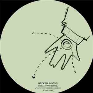 Broken Synths - Swell / Piano School