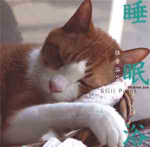 Jun Makino - Stillpoint