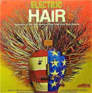 The Electric Hair - Electric Hair - Switched-On Hits From America's First T ...
