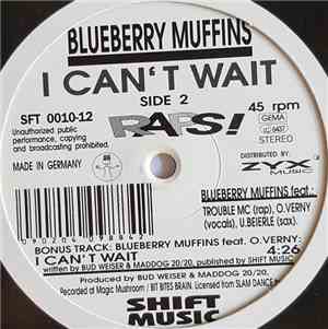 Blueberry Muffins - Mahna Mahna