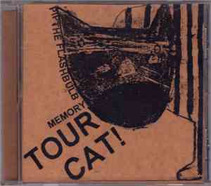 Pip The Flashbulb Memory - Tour Cat!