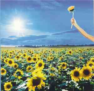Stone Temple Pilots - Thank You