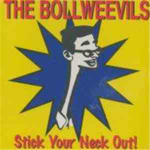 The Bollweevils - Stick Your Neck Out!