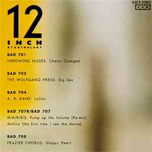 Various - 12 Inch 87 Anthology