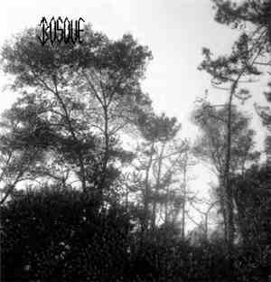 Bosque - Dead Nature