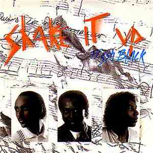 Flash Black - Shake It Up