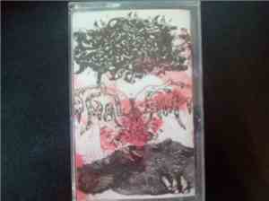 Maggots In A Bloated Corpse, Anal Birth, Haemorrhagic Pyrexia - Split