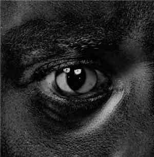 Wiley  - Evolve Or Be Extinct