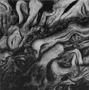 All My Evils - The Rose Tree