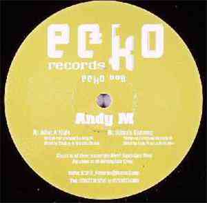 Andy M  - What A Night / Selina's Sickness