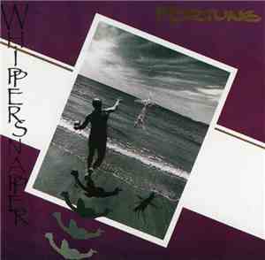 Whippersnapper  - Fortune