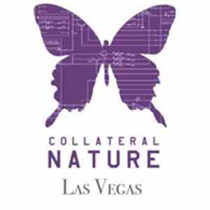 Collateral Nature - Las Vegas