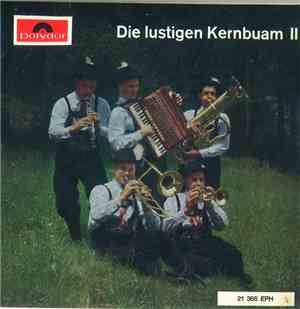 Die Kern Buam - Die Lustigen Kernbuam II