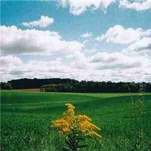 Mark Kozelek - Night Talks - EP