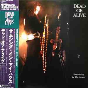 Dead Or Alive - Something In My House