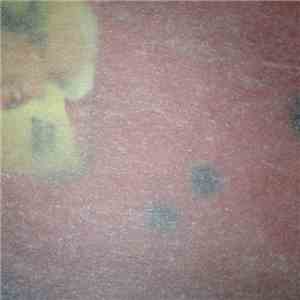 Enterfant - High Cleaner Fluidization